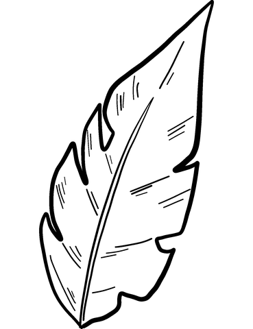 Palm Leaf Coloring Page